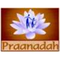 Praanadah Hospital - Madhapur - Hyderabad