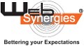 Web Synergies India Pvt Ltd 