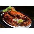 Something's Fishy - Vashi - Navi Mumbai
