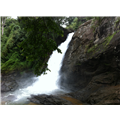 Soochippara Falls (Sentinel Rock Waterfall) - Wayanad