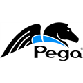 Pegasystems Worldwide India Pvt Ltd