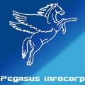 Pegasusinfocorp