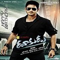 Dhookudu