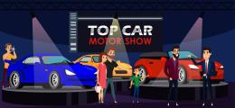 Tips on Auto Expo