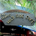 Serpis Wild Side Cafe - Bandra West - Mumbai