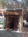 Under the Banyan Tree - Peddar Road - Mumbai