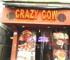Crazy Cow Restaurant - Rajouri Garden - Delhi NCR