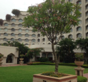 The Golden Dragon - Banjara Hills - Hyderabad