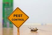 Pest Control Karnataka