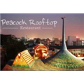 Peacock Roof Top Restaurant - Hathroi- Jaipur