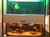 P2P Aquarium - Bangalore