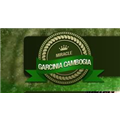 Miracle Garcinia Cambogia
