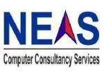 Neas Computer Consultancy Services - Mumbai