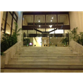 Hotel Dynasty - Guwahati