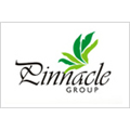 Pinnacle Constructions - Pune