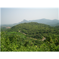 Purulia