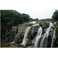 Latehar