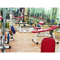 Fit N Shine - Yeshwanthpur - Bangalore