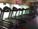 Fab The Gym - Wanowire - Pune