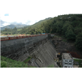 Mattupetty Dam - Munnar