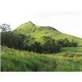 Chembra Peak - Wayanad