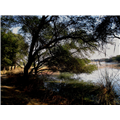 Sultanpur Bird Sanctuary - Gurgaon