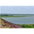 Halali Dam - Bhopal