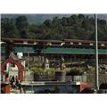 Chamunda Devi Temple - Kangra