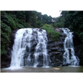 Abbey Falls - Coorg