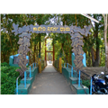 Nisargadhama Forest - Coorg