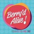 Berry'd Alive - Koramangala - Bangalore