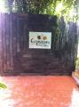 Capsicum - Gota - Ahmedabad