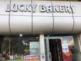 Lucky Bakery - Model Town - Ludhiana