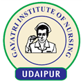 Gayatri Institute of Nursing - Udaipur