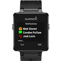 Garmin Vivoactive Smartwatch