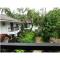 A.B.C. Farms Beach Resort - Calangute - Goa