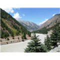 Pangi