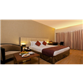 Iris Premiere Hotel - Maniknagar - Ahmednagar