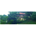 Brahmaputra Jungle Resort - Tapesia - Guwahati