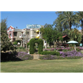 Chacha Inn - Dhundayi - Mount Abu