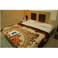 Hotel Vandu International - Amravati