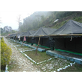 Camp Hideaway - Rishikesh - Garhwal