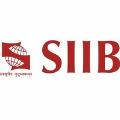 Symbiosis Institute Of International Business - Pune