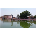 Amroha