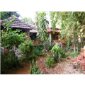 Gokarna - Kudle Beach - Gokarna