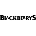 Blackberrys - MDS Nagra - Salem