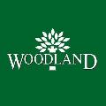 Woodland - Karnool Road - Ongole
