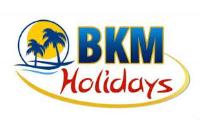 BKM Holidays - Delhi