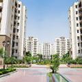Hazel - Avadi - Chennai