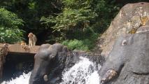 Kalhatti Falls - Chikmagalur